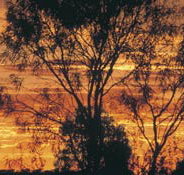 Tilmouth Well - Accommodation Fremantle