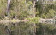 Sanctuary House Resort Motel - Healesville - thumb 5