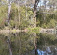 Sanctuary House Resort Motel - Healesville - Accommodation Fremantle 5