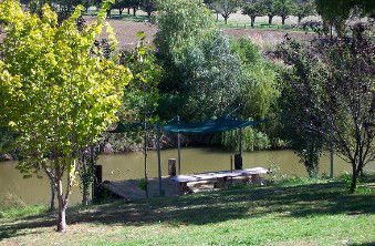 Colonial Inn Tamworth - Accommodation Fremantle 3