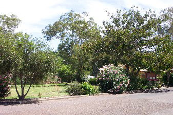 Colonial Inn Tamworth - Accommodation Fremantle 4