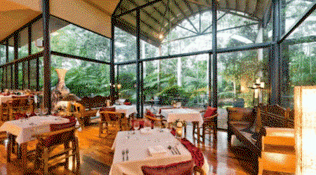 Pethers Rainforest Retreat - Accommodation Fremantle 1