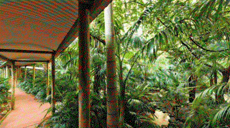 Pethers Rainforest Retreat - Accommodation Fremantle 4