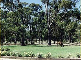 Saratoga Lodge - Accommodation Fremantle 0