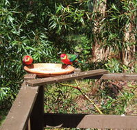 Tree Tops - Accommodation Fremantle