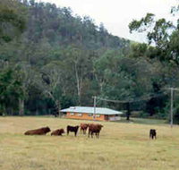 Shute Hill Country Retreat - Accommodation Fremantle