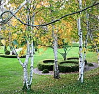 Villarett Gardens - Accommodation Fremantle