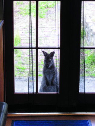 VARUNA - Accommodation Fremantle 4