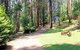 Hill 'n' Dale Farm Cottages - thumb 0
