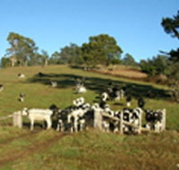 St Columba Cottage - Accommodation Fremantle