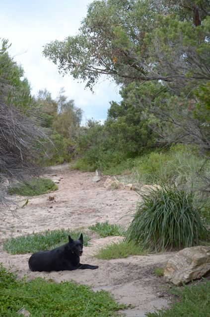Dune Hideaway - Accommodation Fremantle 3