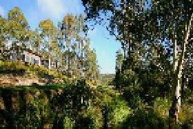 Rossarden TAS Accommodation Fremantle