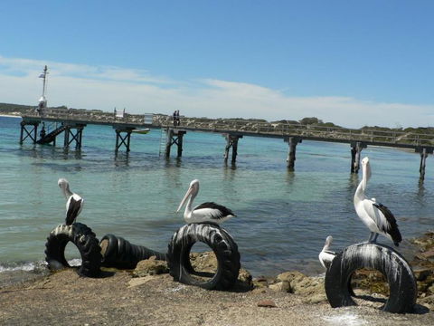 Fareview Beach House - Accommodation Fremantle 3