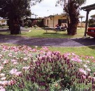 Brigadoon Holiday Units - Accommodation Fremantle
