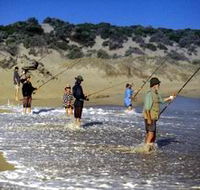 Flippers Beachouse - Accommodation Fremantle