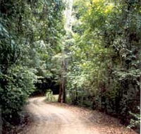 Mt Glorious Getaway Cottages And Conference Centre - Accommodation Fremantle