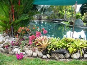 Daintree Wild Bed And Breakfast - Accommodation Fremantle 0