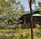 Arnhemland Barramundi Nature Lodge - Accommodation Fremantle