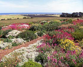 Tower Hill VIC Accommodation Fremantle