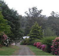 Mountain Rivers Lodge - Accommodation Fremantle
