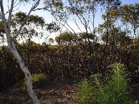 Kulja ACT Accommodation Fremantle