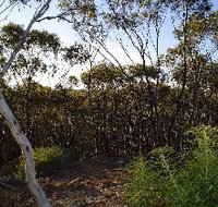 Lions Dryandra Woodlands Village - Accommodation Fremantle