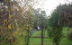 Whitelaw's Rest - thumb 1