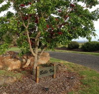Belle Vue Studio - Accommodation Fremantle