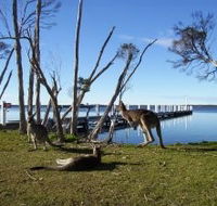 Waterfront Retreat At Wattle Point - Accommodation Fremantle