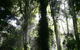 Alcheringa Holiday House - thumb 6