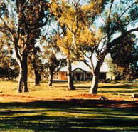 Blue Gum House - Accommodation Fremantle