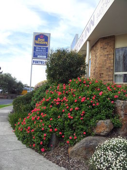 Best Western Mill Park Motel - Accommodation Fremantle 16