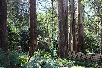 Adeline Bed And Breakfast - Accommodation Fremantle 8