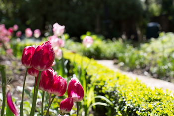 Adeline Bed And Breakfast - Accommodation Fremantle 17