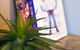 Apartments @ Glen Waverley - thumb 21