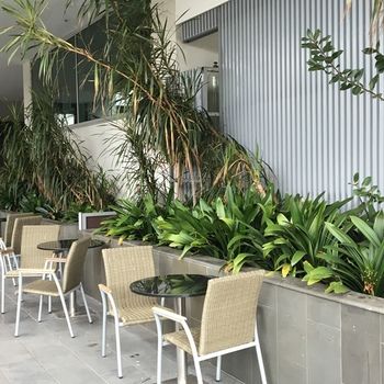 Best Western Premier Hotel 115 Kew - Accommodation Fremantle 22