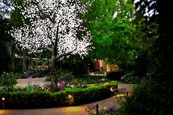 Elizabethan Lodge - Accommodation Fremantle 4