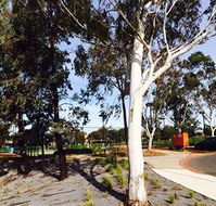 Box Hill Studios at Canterbury Gardens - Accommodation Fremantle