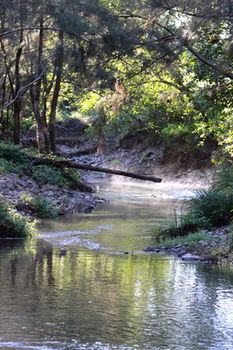 Yabbaloumba Retreat - Accommodation Fremantle 5