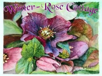 A Winter-rose Cottage B&B - Accommodation Fremantle 0