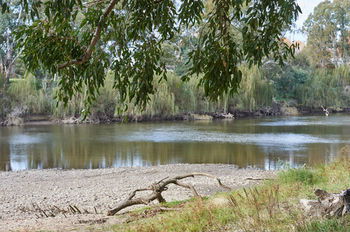 Gundagai Cabins & Tourist Park - Accommodation Fremantle 34