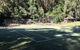Avoca Beach Hotel & Resort - thumb 43