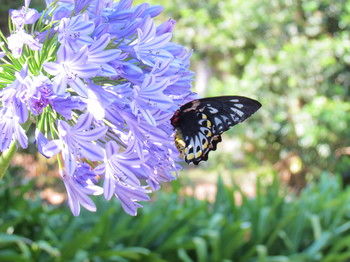 Amytis Gardens Retreat Spa And Cooking School - Accommodation Fremantle 4