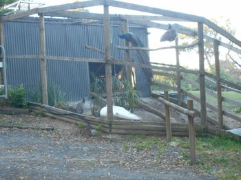 A Twist Of Willow - Accommodation Fremantle 20