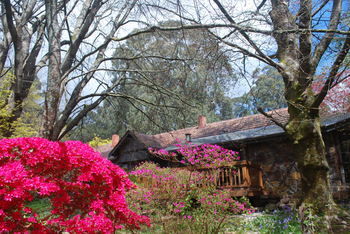 Rocky Creek Art Garden B&B - Accommodation Fremantle 3