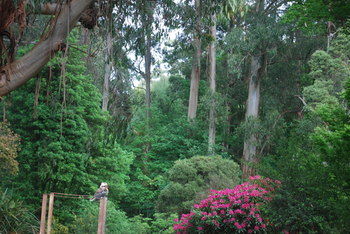 Rocky Creek Art Garden B&B - Accommodation Fremantle 5