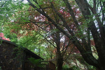 Rocky Creek Art Garden B&B - Accommodation Fremantle 6