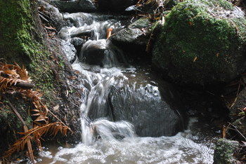 Rocky Creek Art Garden B&B - Accommodation Fremantle 7