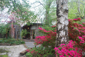 Rocky Creek Art Garden B&B - Accommodation Fremantle 8