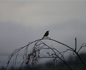 Viewenmore Villa Bed & Breakfast - Accommodation Fremantle 5